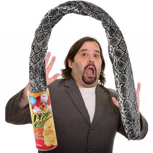 Winbar Prank Gifts for Kids, Funny Classic Snake in a Can Prank for Kids Magic Potato Chip Cans Fries Toys April Fools' Day and Halloween Party Decoration