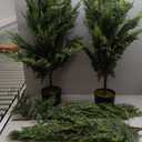 5FT Real Touch Cedar Topiary Trees for Front Porch Decor, Artificial Shrubs Faux Plants Potted UV Resistant Fake Greenery for Outdoor Indoor Door Garden Farmhouse Home Decoration (Set of 2)