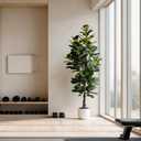 6FT Ultra-Full & Lush Artificial Fiddle Leaf Fig Tree for Home Decor 171 Lifelike Leaves, Large Faux Plants Indoor, Artificial Plants Indoor for Office Living Room Interior Decor Housewarming Gift