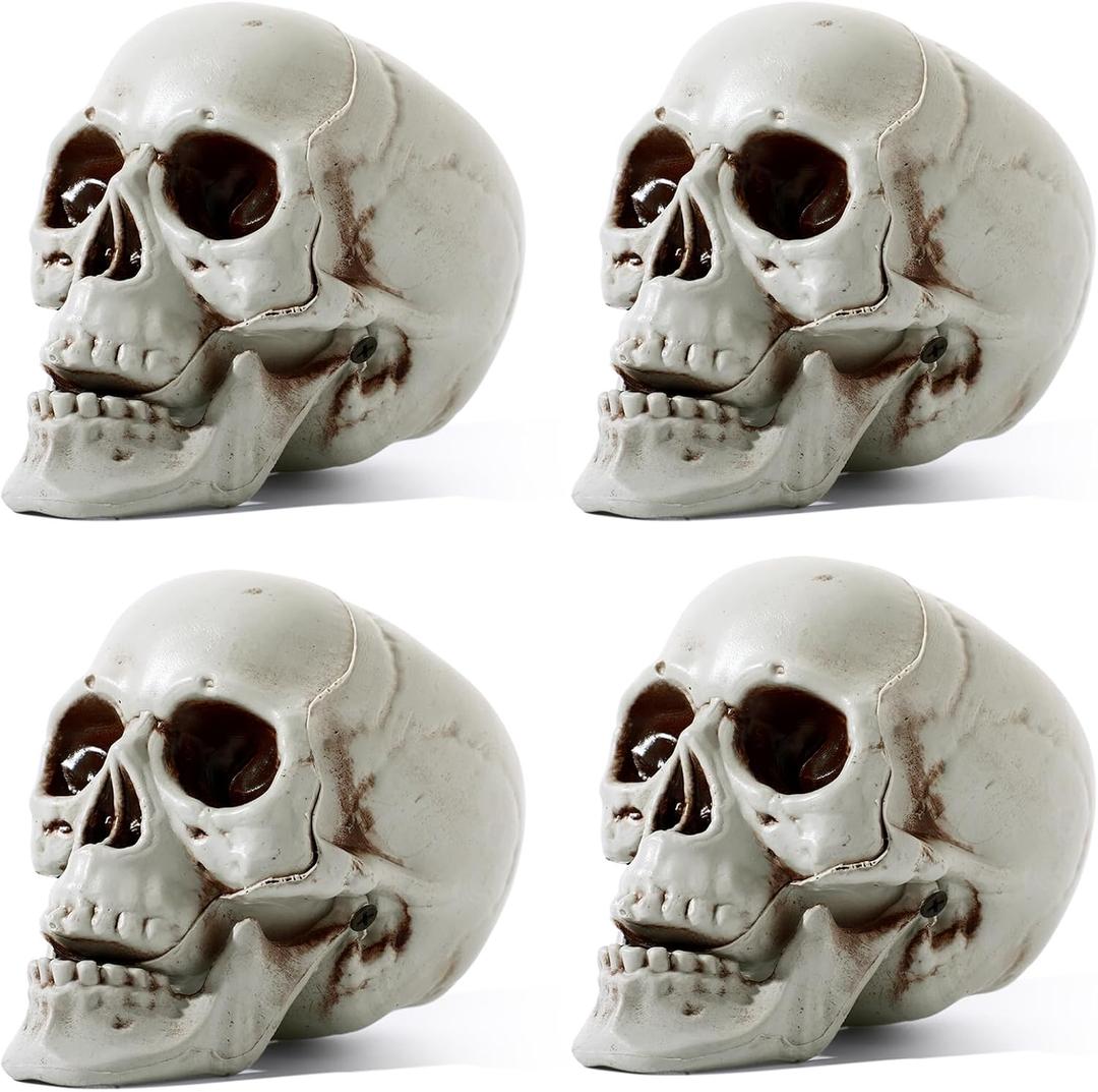 Sratte 4 Pcs Halloween Human Skull Model Adult Plastic Skull Decor Fake Head Decorations Realistic Head Bone Model Human Skeleton Statue (5.1 Inch)