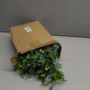 DearHouse 4 Pack Faux Eucalyptus Garland Plant, Artificial Vines Hanging Eucalyptus Leaves Greenery Garland for Wedding Backdrop Arch Wall Decor, 6 Feet/pcs UV Protected Indoor Outdoor