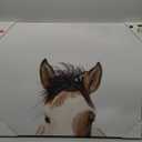 Giant Art Canvas 28"x22" Eyes, Frame not Included