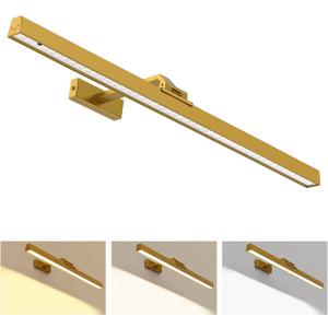 Picture Lights for Wall, Battery Operated Picture Light 24in Gallery Light for Paintings CCT Dimmable Recharging Battery Wall Light with Remote Control for Living Room Gallery Dartboard (Gold)