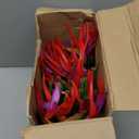 Hanaive 20 Pcs Bird of Paradise Artificial Plant 24 Inches Hawaiian Tropical Flowers Fake Rubber Strelitzia Faux Flowers Bouquet for Home Garden Office Wedding Indoor Outside Party Decor DIY (Pink)