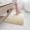 Arotive Microfiber Bathroom Rugs, Shaggy Soft and Absorbent Bath Rug, Non-Slip, Thick Plush Machine Washable Dry Bath Mats for Bathroom, Tub and Shower, 40x24, Light Beige, Rectangular