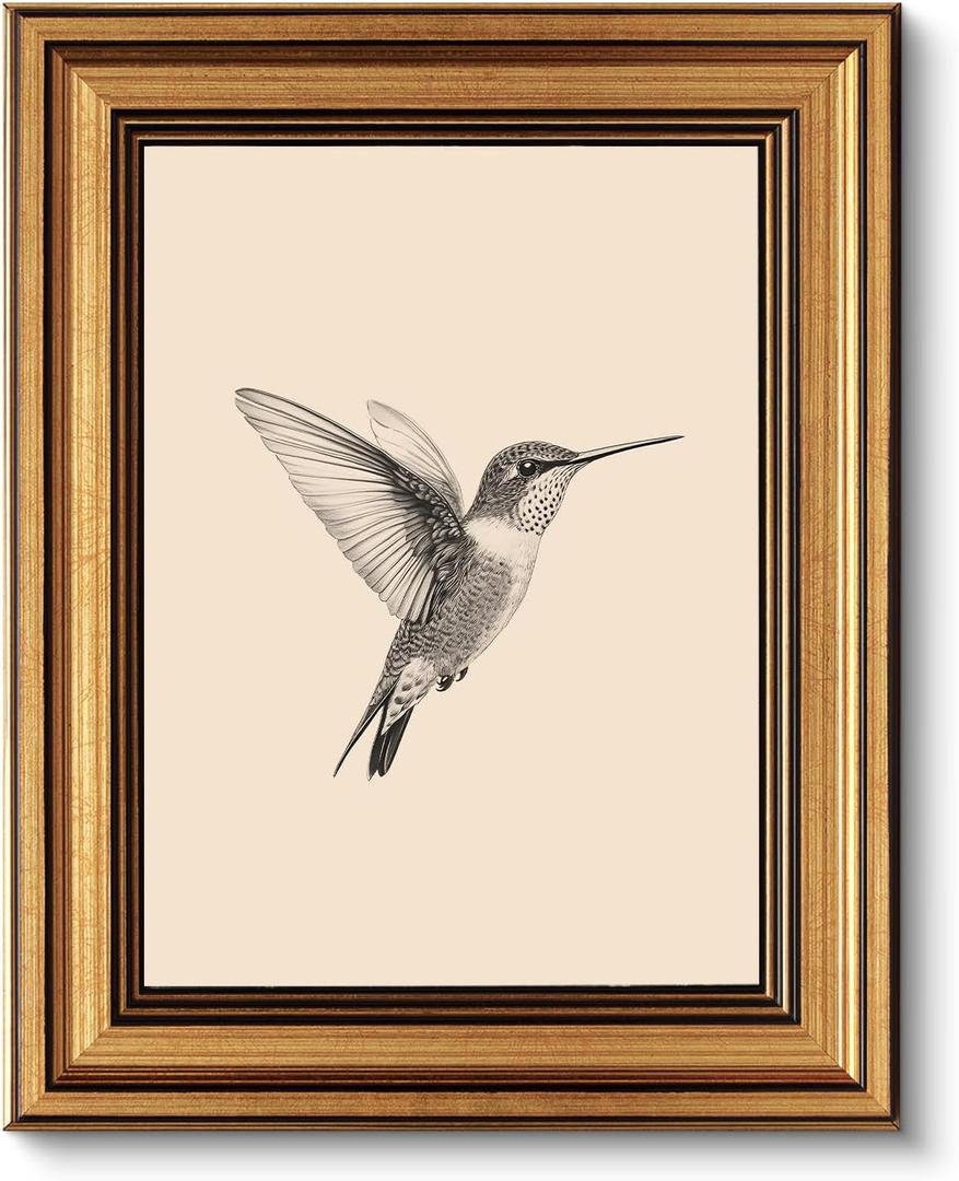 VIYYIEA Vintage Gold Framed Wall Art, Sketch Birds Canvas Painting, Cute but Exquisite Wall Decor, No Glass No Glare, Suitable for Bedside Tables, Foyer, Bookshelves,Hummingbird-10L x 8W