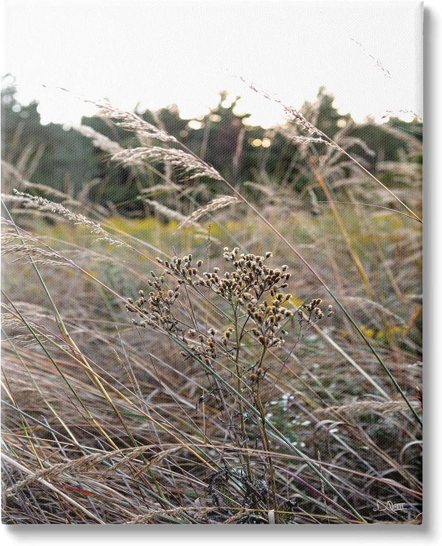 Stupell Industries Countryside Meadow Blooming Reeds Tall Grass Buds, Design by Donnie Quillen, 16 x 20 (16L" x 1.5W")