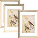 3.5x5 Picture Frame Set of 3, Matte Brass Modern Thin Aluminum Metal Photo Frame with HD Glass, Fits 2.5x3.5 with Mat or 3.5 x 5 without Mat, for Tabletop and Wall Mounting