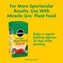 Miracle-Gro Potting Mix - For Container Plants, Flowers, Vegetables, Shrubs, Annuals, Perennials, Potting Soil Mix, Feeds up to 6 Months, 16 qt. (2-Pack)