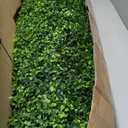 Artificial Boxwood Roll Panels,48 X 120 in(40 sqft) UV-Anti Artificial Ivy Privacy Fence Wall Screen for Indoor Outdoor Green Grass Wall Decor & Ivy Fence Covering Privacy