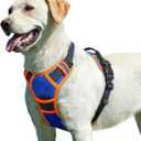 Eagloo Dog Harness for Large Dogs, No Pull Service Vest with Reflective Strips and Control Handle, Adjustable and Comfortable for Walking, No Choke Pet Harness with 2 Metal Rings, Blue & Orange, L