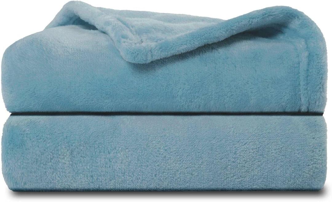 NANPIPER Baby Blankets, Super Soft Fleece Fuzzy Blanket for Toddler, Luxury Cozy Lightweight Microfiber Plush Blanket-Throw Size 30"x40",Light Blue (Small)