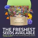 Drought Tolerant Wildflowers Mix  Extra Large Packet  Over 7,500 Open Pollinated Non-GMO Seeds  21 Different Dryland Species (1 Ounce Pouch)