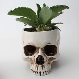 Mikayoo Skull Pen Holder Skull Makeup Brush Holder Pen Holder Dressing Table Office Desk Storage Box Green Plant Flower Pot Halloween Skull (Retro)