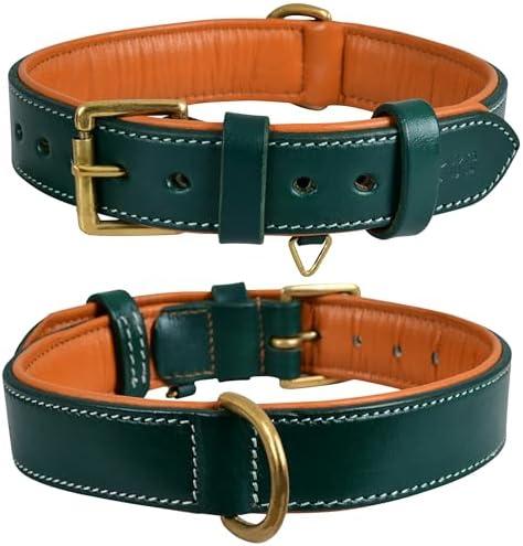 Genuine Leather Dog Collar | Full Grain, Heavy Duty, Comfortable, Padded, Strong | Best for Pups, Small, Medium, Large & XL Breeds (Large (Fit Neck Size 18.5"-22.5"), Teal Green)