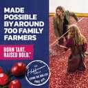 Ocean Spray Cran-Watermelon Cranberry Watermelon Juice Drinks, 10 Fl Oz Bottles, 6 Count