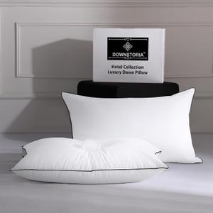 Feather Down Pillows Queen/Standard Size Set of 2, Luxury Hotel Collection Bed Pillow 2 Pack, Down Surrounded Pillows for Sleeping, Soft Fluffy for Side Sleepers 20x28 in.