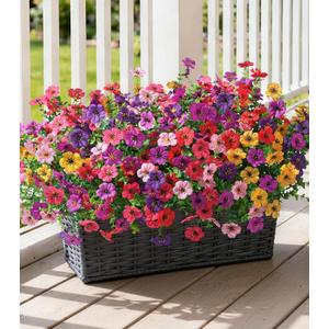 Ivydale Artificial Flowers for Outdoor 24 Bundles Fake Mums with Eucalyptus Leaves UV Resistant Silk Faux Daisy Flower Plant for Outside Home Porch Patio Window Box, 6 Color Mixed
