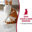 Nature's Miracle Stain and Odor Remover, Spot Stain and Pet Odor Eliminator, Enzymatic Formula, 32 Ounce Spray