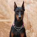 ANDA Martingale Collar for Dogs, Adjustable with Reflective Stainless Steel Chain, No-Pull Escape-Proof Training Collar for Medium and Large Breeds (Red, Large)