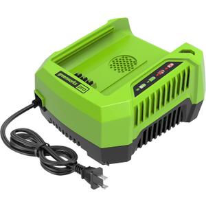 Greenworks PRO 80V Lithium Ion Single Port Rapid Battery Charger GCH8040