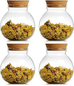 DNIENKGE Spherical Glass Jar With Cork Lid Airtight  17oz Candy Jar Kitchen Glass Jar  for Preserving and Storing Coffee, Spice, Beans, Sugar etc (9)