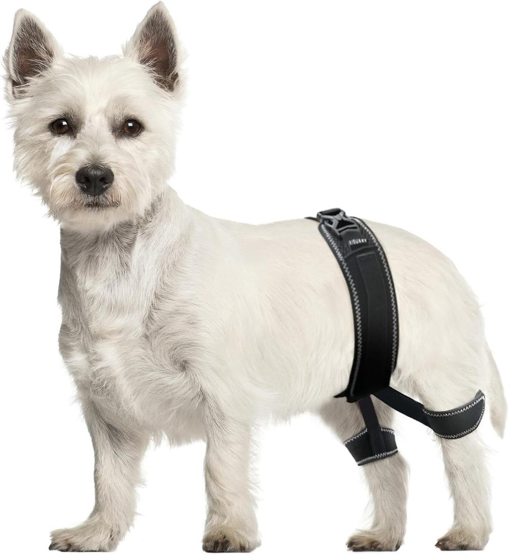 CHAMIN Dog Hip Brace  Support Harness for Hip Dysplasia, Joint Pain Relief, Prevents Hip Joint Issues, Orthopedic Support for Dogs(Small)
