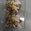 40 PCS Edible Bumble bee Cupcake Toppers Wafer Paper Bumble Party Drink Bee