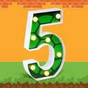 LED Number Lights Cartoon Themed Birthday Decorations LED Light Up Number Centerpieces Table Decorations for Party Supplies Backdrop Wall Decor for Birthday Party Decorations (Number 5)