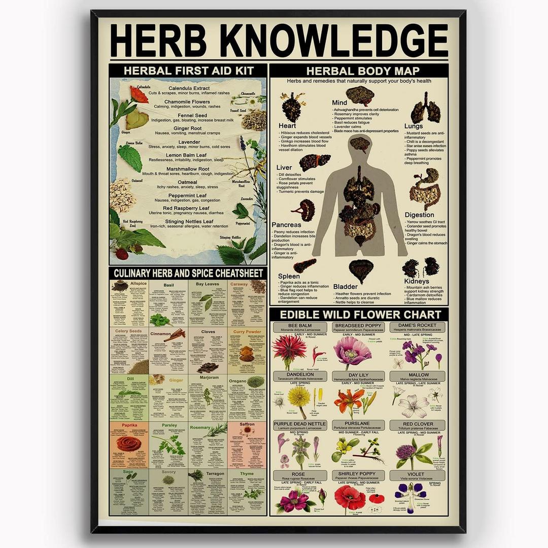 Herb Knowledge Metal Tin Signs Herbal First Aid Kit Infographic Poster Pharmacist Study Guide Tin Plaque Home Pharmacy Office Kitchen Wall Decor 16x24 Inches