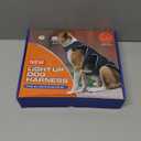 Light Up Dog Harness LED Dog Vest - USB-C Rechargeable RGB 9-LED, Slow/Fast Rainbow Modes, Reflective No-Pull Harness with Dual D-Rings & Handle for Small to XL Dogs (Orange, M)