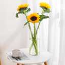 3 Clear Acrylic Cylinder Vase for Centerpieces, Tall Cylinder Plastic Hurricane Vases, Large Unbreakable Flower Vases for Wedding Bouquet (D 4.8", D 6" X H 15.8" +D 4" X H 12") 3 Different Sizes