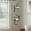 Wall Planters for Indoor Plants, Mounted Holder Shelf, Metal Plant Wall Hanger, Decorative Plant Shelf for Indoor Wall Decor (3 Pack)