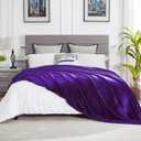 DREAMNINE Oversized Soft Fuzzy Fleece Throw Blanket Twin Size 60" x 80",Decorative Large Solid Lightweight Velvet Bed Blanket,Big Cute Cozy Accent Shaggy Microfiber Flannel Blankets for Bedroom, Purple