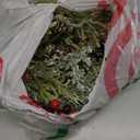 Cedar Stems Artificial Norfolk Pine Branches for Christmas Decor, 12 PCS Fake Pine Stems with 5 PCS Big Pine Cones Branches Realistic Fake Plants Faux Greenery for Vases DIY Garland Xmas Table Indoor