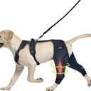 Dog ACL Knee Brace, Support for Pets with CCL, Cruciate Ligament Injuries - Keeps Knee Joints Warm and Stable, Upgraded Adjustable Dogs Rear Leg Wrap Harness Set for Leg Wound Care Prevents Licking (XL (Extended) (fits thigh: 15-16 in))
