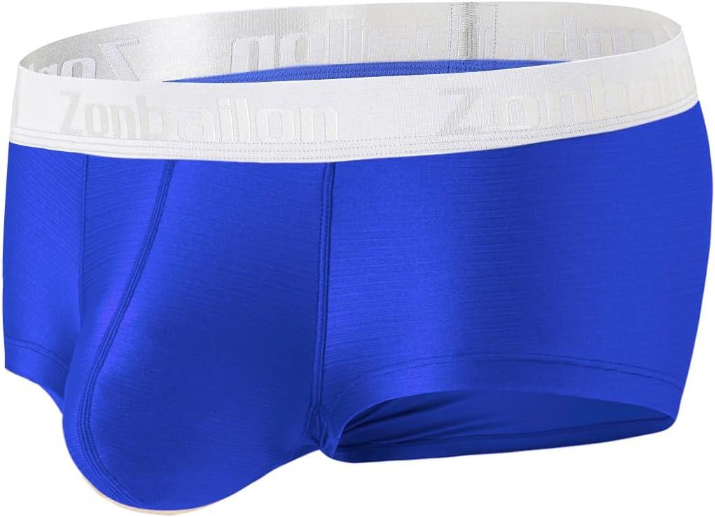 ZONBAILON Men's Sexy Underwear Bulge Pouch Ice Silk Underpants Low Rise Trunks Short Leg Boxer Briefs (Large, 1 Pc-Blue)