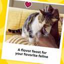 Temptations MixUps Surfer's Delight Flavor Crunchy and Soft Cat Treats, 16 oz. Tub (1 Pound (Pack of 1))