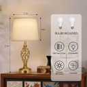 Ruiever Touch Table Lamps Set of 2, nightstand lamp with USB Ports Bedside 3 Way Touch dimmer Desk lamp for Living Room Bedroom,Gold Plated Spiral cage Base Design Warm White dimmer Bulbs Included.