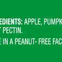 Beech-Nut Melties Baby & Toddler Snack Melts, Apple Pumpkin, 1 oz (7 Pack)