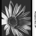 Americanflat 26x39 Poster Frame with Polished Plexiglass - Black Picture Frame - Wide Photo Frames Made of Engineered Wood for Vertical or Horizontal Wall Display - Epic Collection - Black