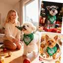 Christmas Dog Bandanas - Santa's Favorite Trouble Maker, Naughty & Nice List Print Pet Holiday Scarf Costume Gift, Green Plaid, Small & Medium Breed, 5-25lbs