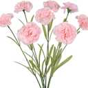Champagne Carnations Artificial Flowers 8pcs 31.5inch Real Touch Flowers Fake Carnations for Floral Arrangements Home Wedding Dining Table Party Decor(Pink)
