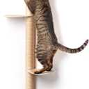 68" Tall Wall-Mounted Cat Tree  Modern Space-Saving Cat Shelf with Sisal Scratching Post & Steel Climbing Steps  Stylish Cat Wall Furniture for Small Spaces
