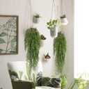 RECUTMS 2 Pcs 3.7Ft Hanging Fake Plants Faux Ferns Ivy Willow Vine Leaves Wall Greenery Artificial Vine Plastic for Spring Home Garden Wedding Party Indoor Outdoor Easter Decorations(Green)