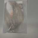 REECHO Clip in Hair Volumizer, Short Thick Clip in Hairpieces Adding Extra Hair Volume Extensions for Women with Thin Fine (Ash Blonde with Highlights, 8 Inch(Pack of 2))