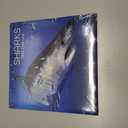 Sharks - Haie 2025 - 16-Monatskalender: Original Gifted Stationery-Kalender [Mehrsprachig] [Kalender] Calendar
