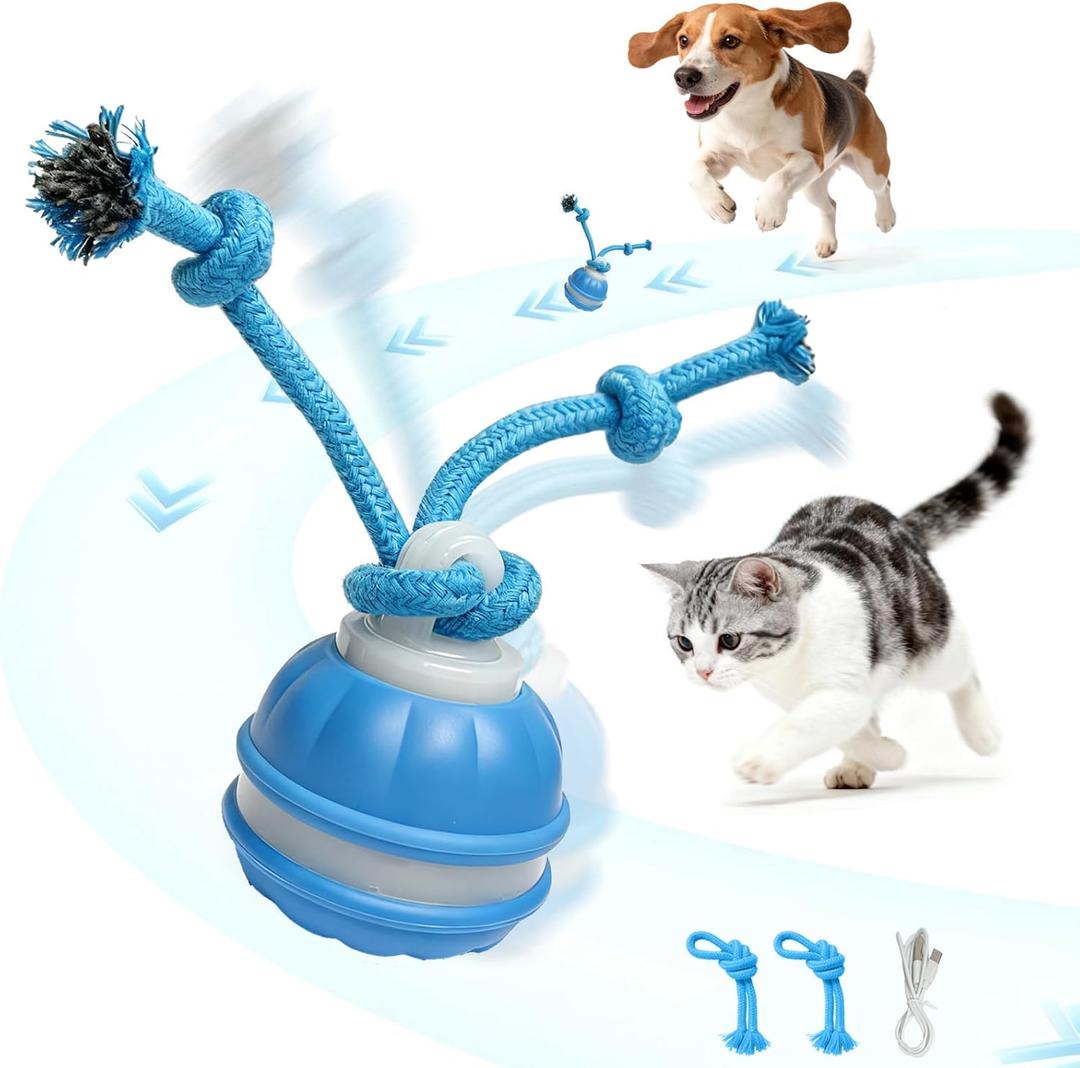 Interactive Dog Toy - Automatic Rolling Ball with Bird Sound, Durable Chew Toy for Small Medium Dogs & Cats, Type-C Rechargeable (Blue)