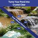 AquaMiracle 400GPH Pond Filter Pump with 4-Stage Filtration | Pond Pump Filter Box | Fish Pond Filter for Outdoor Ponds 200-350 Gal | for Garden, Waterfall, Fountain, Water Feature
