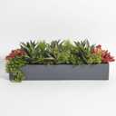 CG Hunter Oblong Faux Succulent Arrangement, Premium Artificial Indoor Plant Enhances Interior Design, Display on any Surface in Your Home Adding an Inviting Touch of Nature, Grey Planter Pot Included